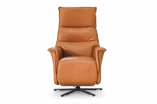 AW2008C - 1 SEATER RECLINER(ELECTRIC) - BLR WH