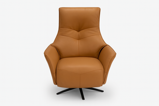 AW2008C - CHAIR RECLINER(ELECTRIC) - BH