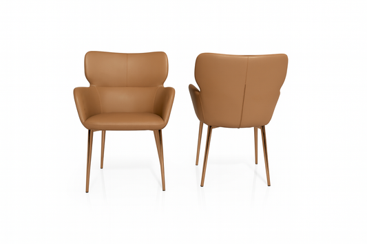 HN69(2) - DINING CHAIR - BLR WH