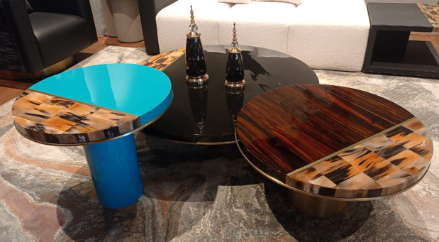 ARCA HORN - COFFEE TABLE - HYD DASH(BESPOKE)