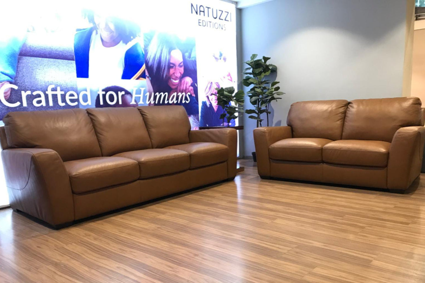 C241 - 3+2+1 SEATER - BTM
