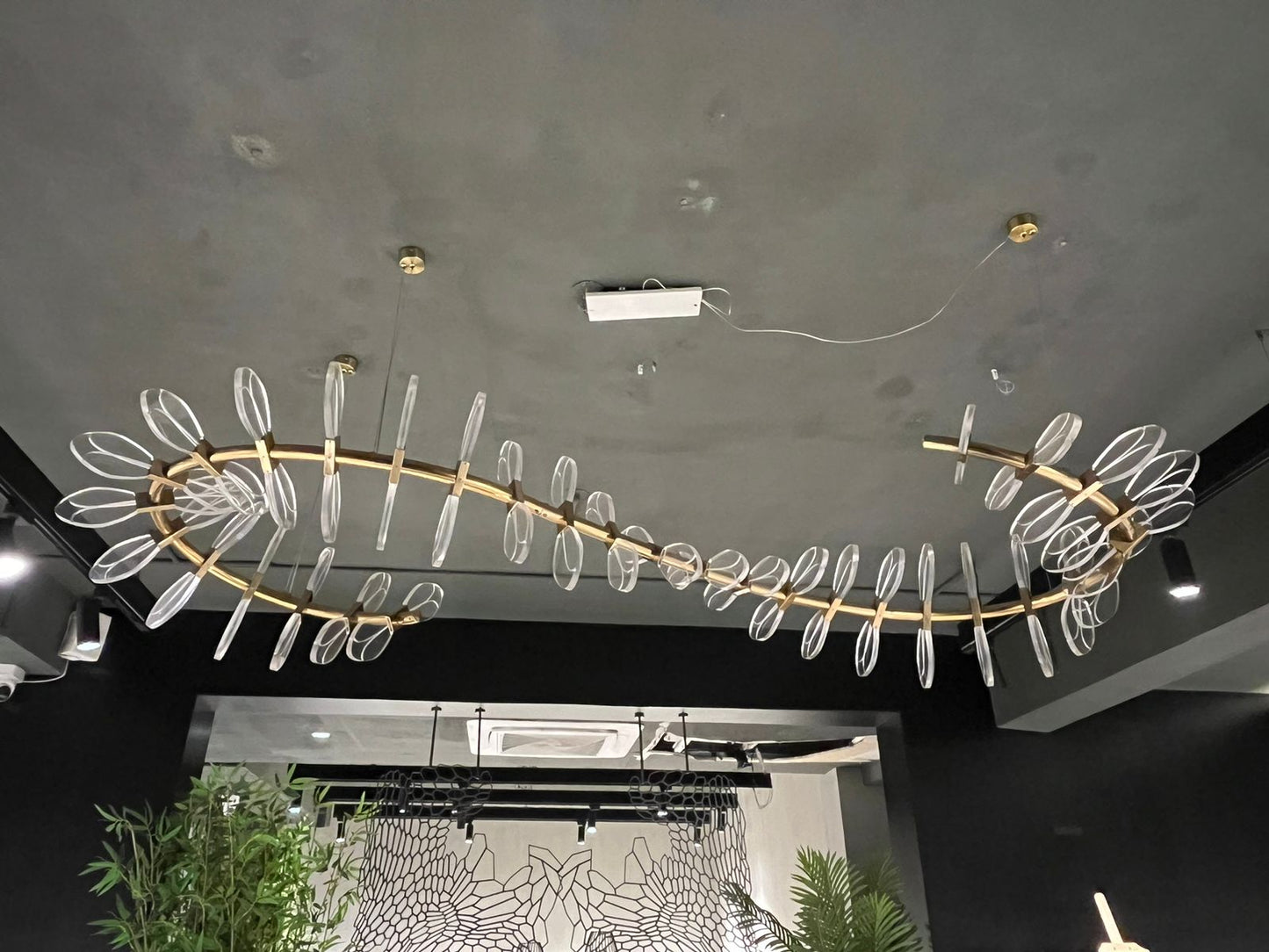 OVAL CRYSTAL - CHANDELIER - HYD DASH(BESPOKE)
