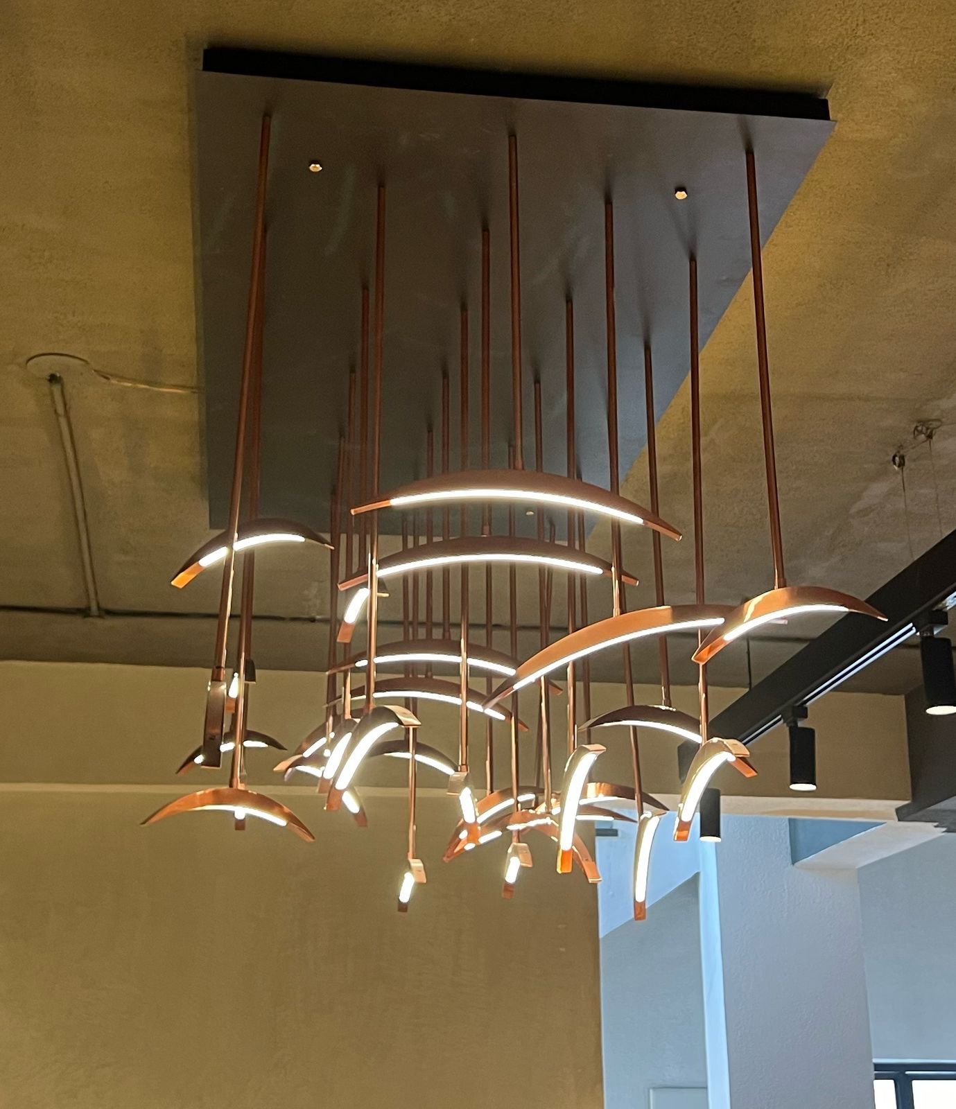 TERRACE - CHANDELIER - HYD DASH(BESPOKE)