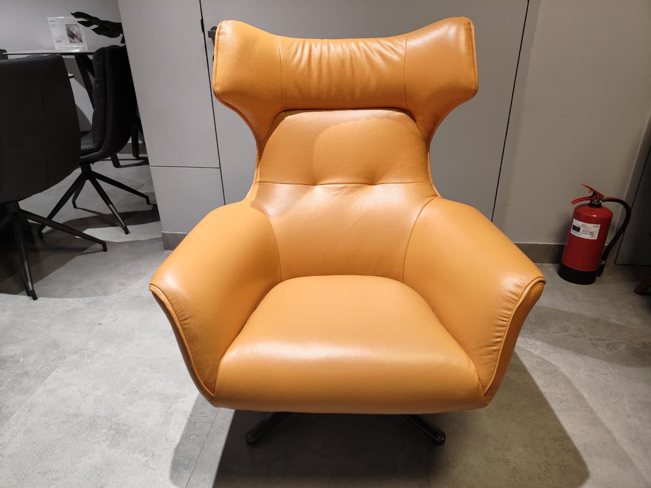 A1021(1) - ACCENT CHAIR - IND